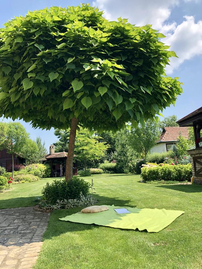 Villa Larus Palic Exterior photo
